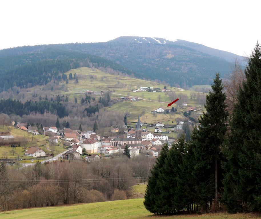 Les Hauts De Brochot Saint-Maurice-sur-Moselle Værelse billede